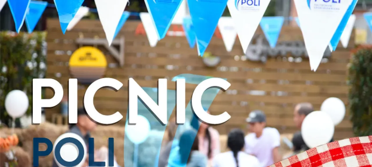 portadapicnic1.jpg