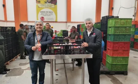 Programa Timón