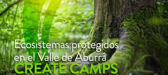 portadacamp.jpg