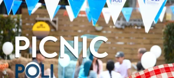 portadapicnic1.jpg