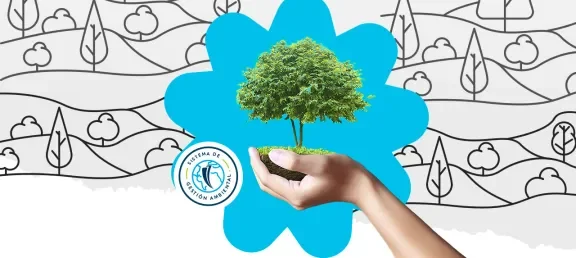 Día Internacional De Los Bosques