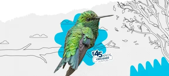 1.er Desafío PoliAmbiental 2025