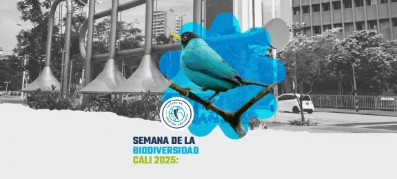  El POLI reflexionará sobre la bioeconomía en la Semana de la Biodiversidad Cali 2025